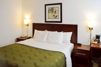 Room, 1 Queen Bed, Accessible, Non Smoking (Roll-In Shower)