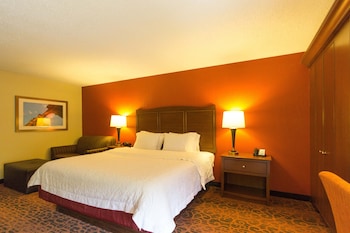 Room, 1 King Bed, Accessible, Bathtub (Mobility/Hearing)