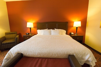Room, 1 King Bed, Accessible, Non Smoking (Roll-in Shower)