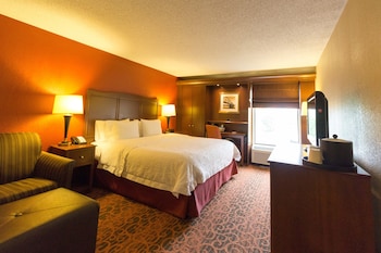 Room, 1 King Bed (Study)