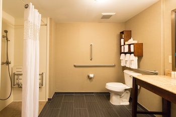 Room, 1 King Bed, Accessible, Non Smoking (Roll-in Shower)