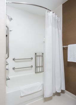 Executive Suite, 1 King Bed with Sofa bed