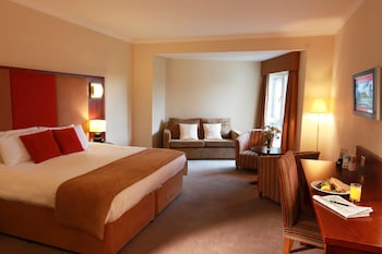 Executive Room, 1 Double Bed, Non Smoking