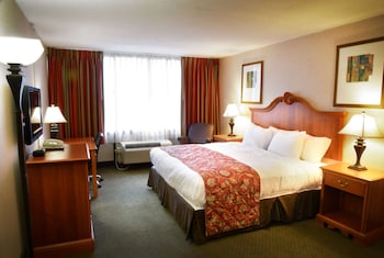 Room, 1 King Bed, Accessible