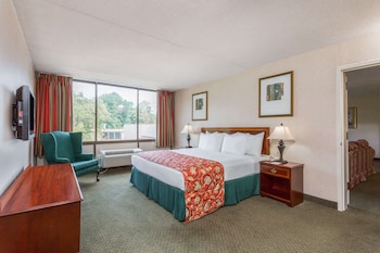 Room, 1 King Bed, Accessible
