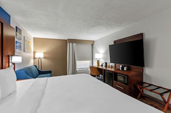 Standard Room, 1 King Bed, Non Smoking
