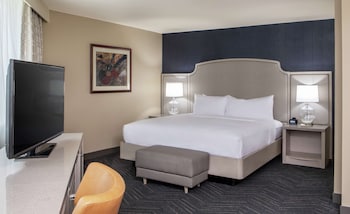 Room, 1 King Bed, Accessible (Roll-In Shower)