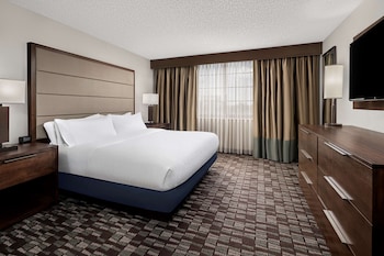 Premium Suite, 1 King Bed