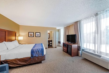 Standard Room, 1 King Bed, Non Smoking