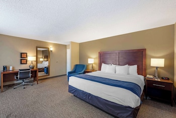 Standard Room, 1 King Bed, Non Smoking