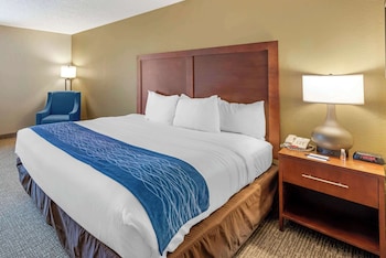 Room, 1 King Bed, Accessible, Non Smoking