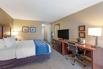 Room, 1 King Bed, Accessible, Non Smoking