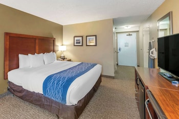 Room, 1 King Bed, Accessible, Non Smoking