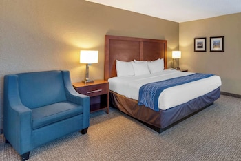 Standard Room, 1 King Bed, Non Smoking