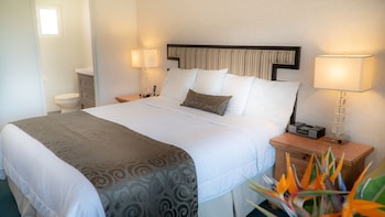 Room, 1 King Bed, Non Smoking, Courtyard View