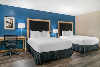 Standard Room, 2 Queen Beds, Accessible, Refrigerator & Microwave