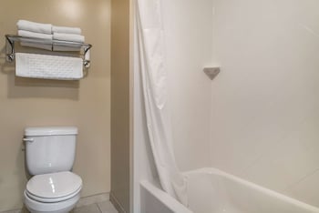 Standard Room, 1 King Bed, Non Smoking, Jetted Tub