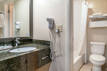 Standard Room, 1 King Bed, Non Smoking, Refrigerator (Interior room access)