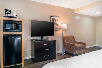 Standard Room, 1 King Bed, Non Smoking, Refrigerator (Interior room access)