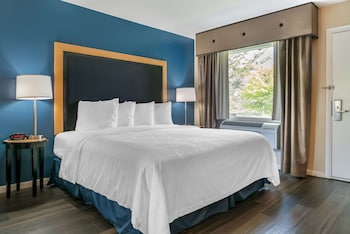 Standard Room, 1 King Bed, Non Smoking, Refrigerator (Interior room access)