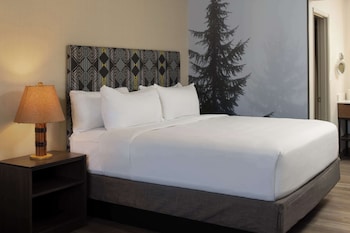 Room, 1 King Bed (Exterior Entry)