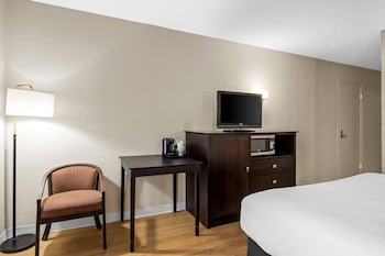 Room, 1 Queen Bed, Mobility Accessible, Non Smoking