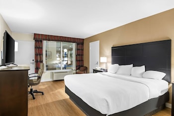 Standard Room, 1 King Bed, Non Smoking
