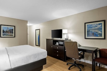 Standard Room, 1 King Bed, Non Smoking