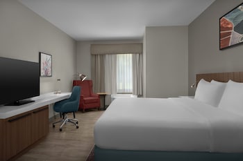 Suite, 1 Bedroom