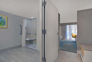 Room, 1 King Bed, Accessible