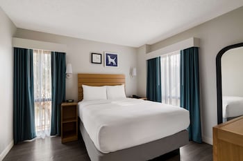 Suite, Multiple Beds (Two Bedroom, Mobility Accesible)