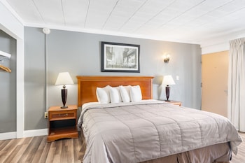 Premium Single Room, 1 King Bed, Non Smoking