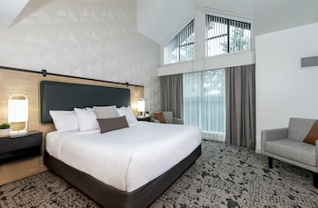 1 Bedroom with Loft Suite