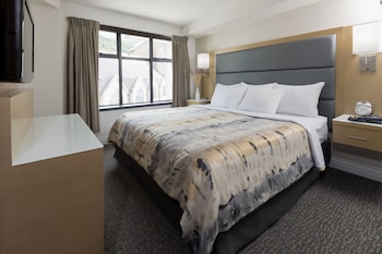 Suite, 3 Bedrooms