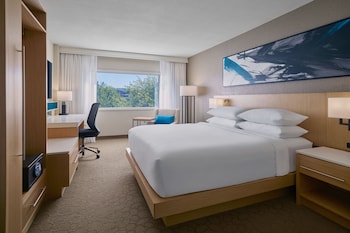 Room, 1 King Bed (Mobility/Hearing Access, Roll-In Shwr)