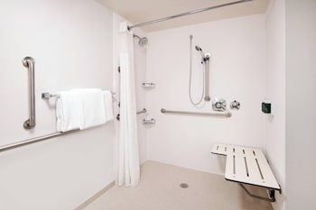 Room, 1 King Bed (Mobility/Hearing Access, Roll-In Shwr)
