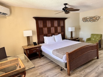 Room, Patio, Beachfront (All Inclusive)