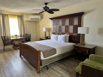 Room, Patio, Beachfront (All Inclusive)