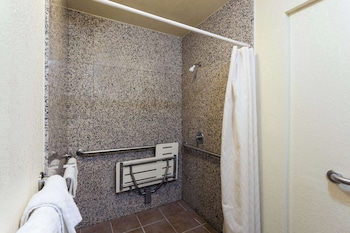 Room, 1 King Bed, Accessible, Non Smoking (Mobility/Hearing, Roll-in Shower)