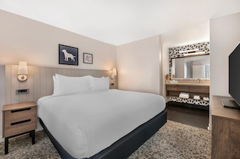 Suite, 1 Queen Bed, Accessible (Mobility Tub One Bedroom)