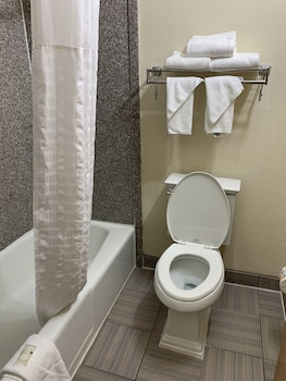 Standard Double Room, 2 Double Beds, Non Smoking