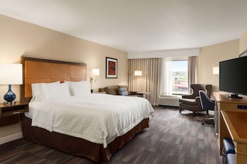 Suite, 1 King Bed, Non Smoking (Mini)