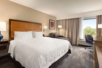 Suite, 1 King Bed, Accessible (Mobility & Hearing, Roll-in Shower)