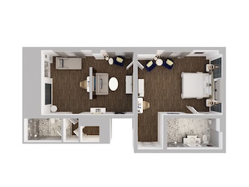Suite, 1 Bedroom (View)