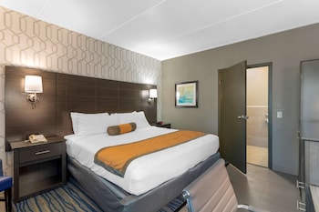 Standard Room, 1 King Bed, Accessible, Refrigerator & Microwave (1st Floor)