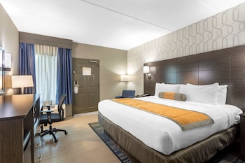 Standard Room, 1 King Bed, Non Smoking, Refrigerator & Microwave (1st Floor;Pet Friendly)