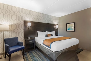 Standard Room, 1 King Bed, Non Smoking, Refrigerator & Microwave (1st Floor;Pet Friendly)