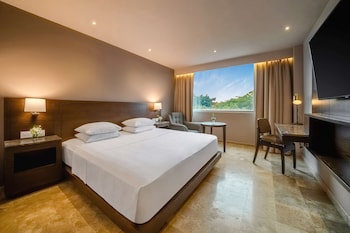 Room, 1 King Bed