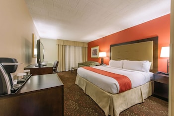 Deluxe Room, 1 King Bed with Sofa bed