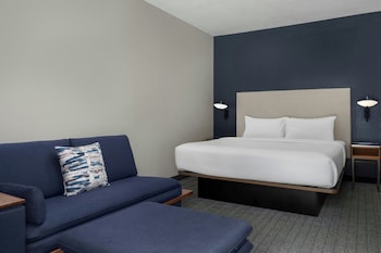 Standard Room, 1 King Bed with Sofa bed